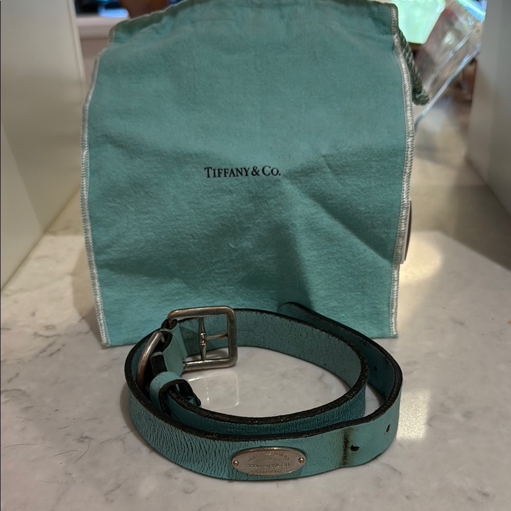 Tiffany & Co. Teal Leather Dog Collar (XL)